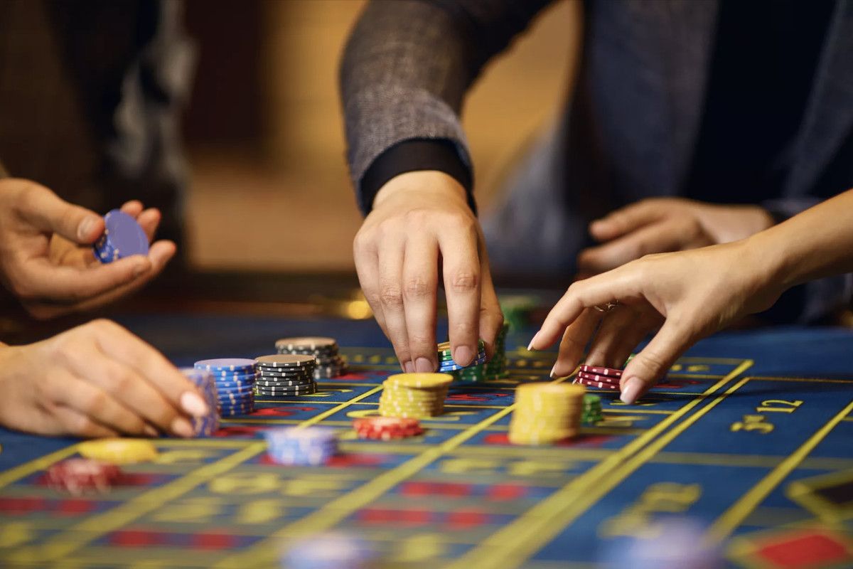 suncoastcasino کیسینو میں لاٹری گیمز میں حصہ لیں۔